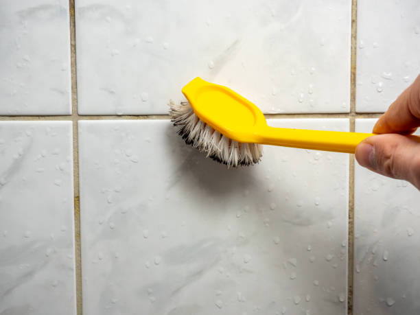 Best Preventive Mold Services in Dequincy, LA