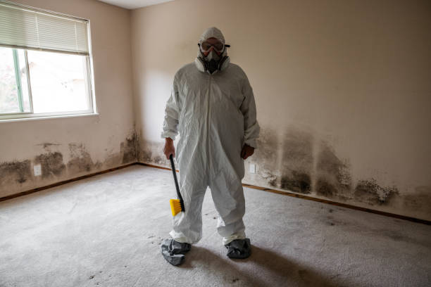 Best Post-Flood Mold Remediation in Dequincy, LA